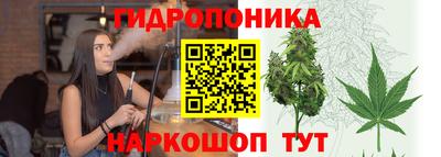 PSILOCYBIN Малоярославец