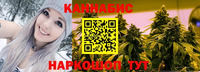 эйфоретик Малгобек