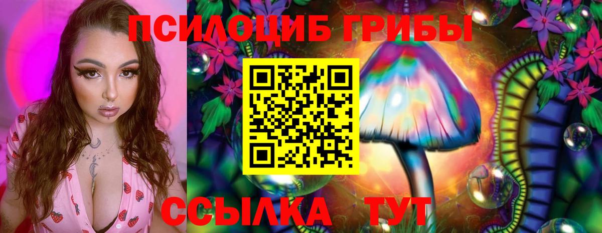 Татарск  Псилоцибиновые грибы Cubensis  Вход с VPN 