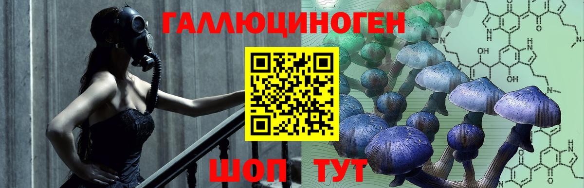 Псилоцибиновые грибы ЛСД Татарск